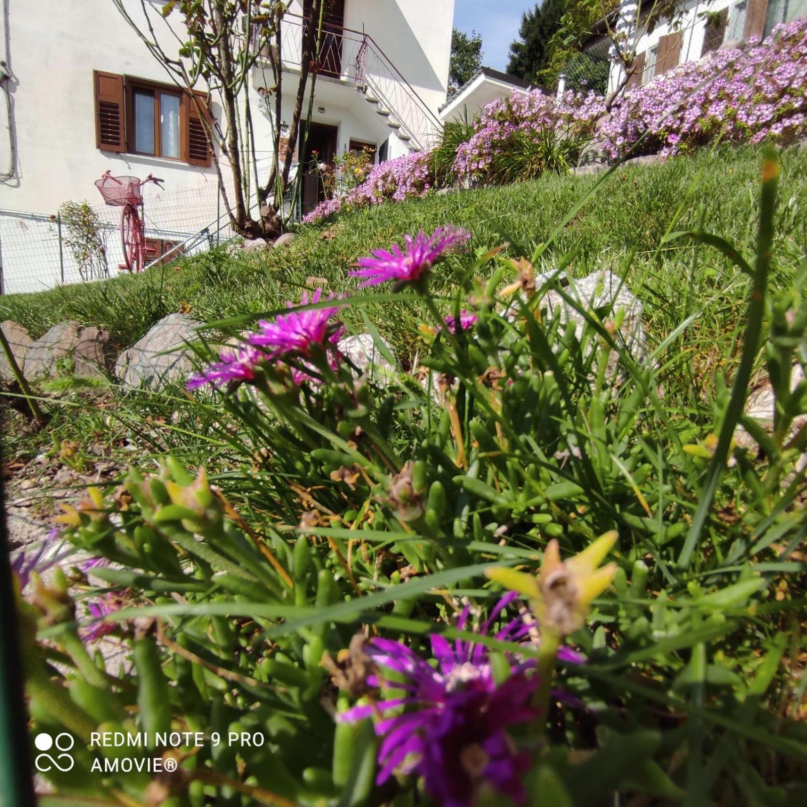 Appartamento Casa Gaudia Castello Tesino Esterno foto